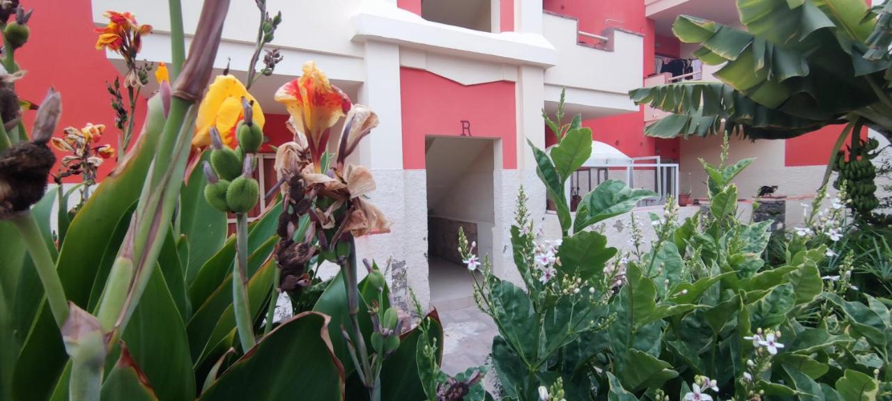 Sal Service Red Moradias Residence With Pool Santa Maria Esterno foto